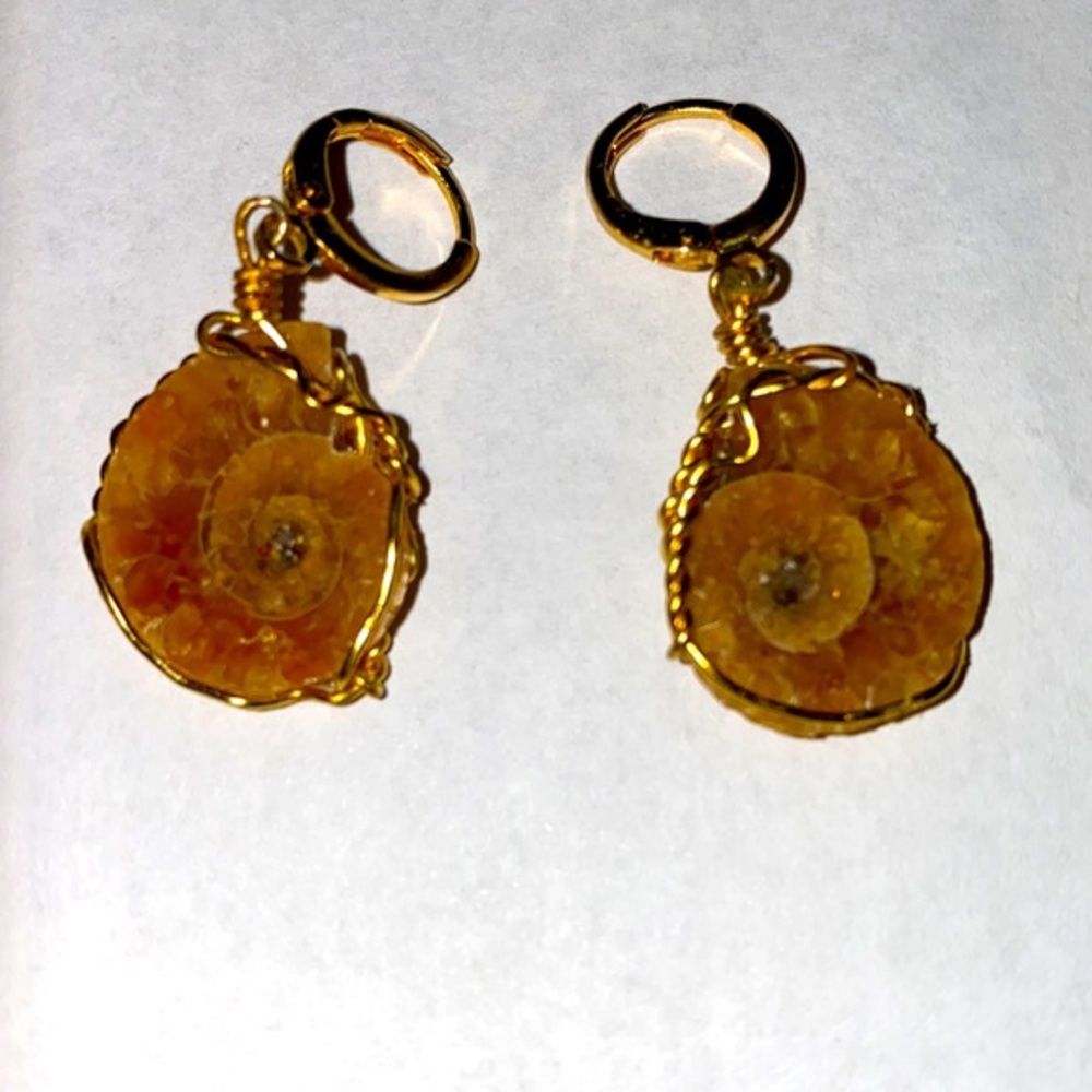 Beautiful handcrafted fossilized Ammonite earrings